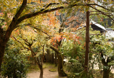 栄福寺